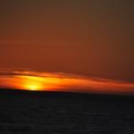 cambria2012_0265 (November 03, 2012)